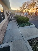 Professional Yard Services