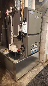 Absolute Comfort Control Services photo 4