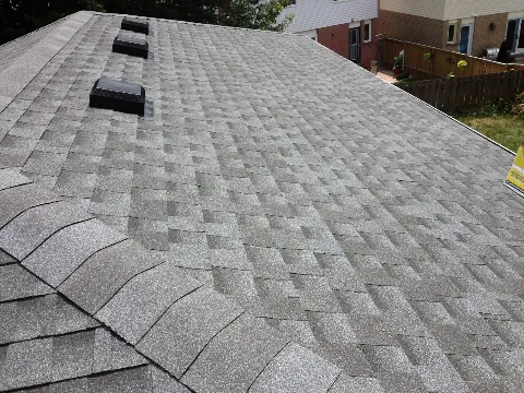 Expert Roofing in Milton