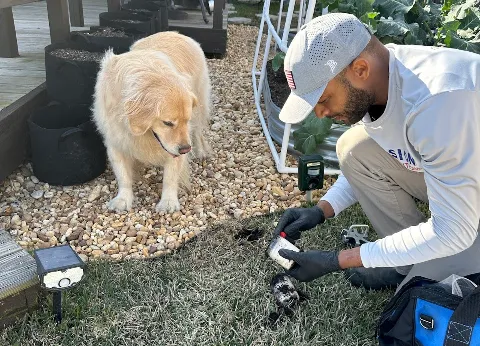 Mission Pest Solutions photo 1