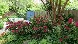 Todd Haiman Landscape Design photo 8