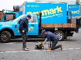 Raymark Plumbing & Sewer photo 2