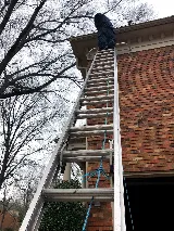 Proven Pest Management photo 4