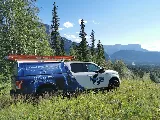 Positive Power Electrical Services Inc.