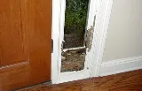 AAA Termite & Pest Control photo 3