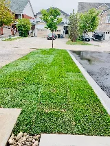 Oakly Landscaping and Commercial Snow Removal Experts photo 7