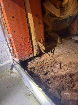 Web Termite & Pest Control, LLC photo 4