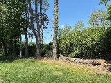 Lawn Mex Inc and Tree Service photo 5