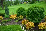 Landscaping GreenExperts Victoria photo 6