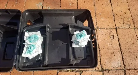 Easy Way Pest Control in Chicago