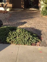 San Diego Concrete and Pavers Pros photo 4