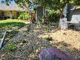 Natural Landscaping photo 8