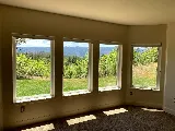 United Windows Pro photo 7