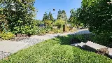 Sam's Tree & Landscape, LLC photo 2