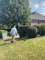 Lookout Pest Control photo 2