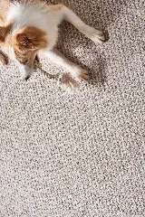 Floor Coverings International photo 3
