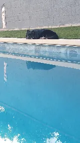 Clear Coast Pool & Spa Services photo 6