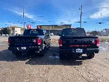 B&R Pest Control Thunder Bay photo 4
