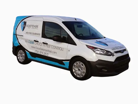 ClearDefense Pest Control in Knoxville