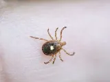 Environmental Pest Control Inc. photo 8