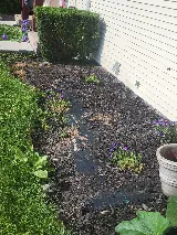 Landscape Associate of WNY photo 3