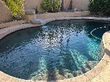 Pristine Pool Service photo 2