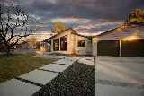 City Of Trees Construction LLC
