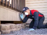 Fox Pest Control Orchard Park