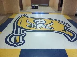 Callaway's Carpet photo 6