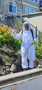 Insight Pest Solutions photo 6