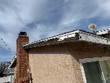 Treebark Termite and Pest Control photo 5