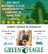 Green Eagle photo 8