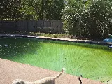All Clear Pool and Spa Shop photo 2