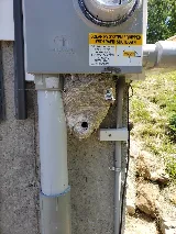 AG Pest Services photo 4