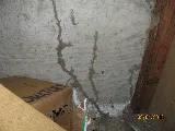 Security Pest Control photo 7