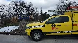 Truly Nolen Pest Control & Exterminators Oakville photo 3