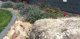 Next 2 Nature Landscape Company photo 4