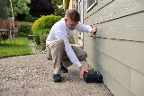 Natura Pest Control - Vancouver photo 4