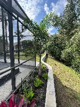 Pinnacle Pools & Spas of Orlando photo 3