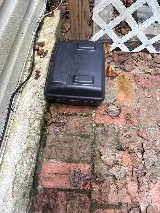 Connor's Pest Pros photo 6