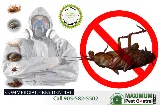 Maximum Pest Control Services photo 4