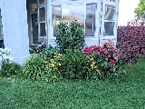 Mr Chipp Landscaping photo 7