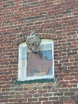 Southern Pest Control photo 8