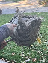 Bulwark Exterminating photo 3