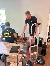 Movers Ultimate photo 4