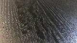Sunshine Floor Supplies Inc