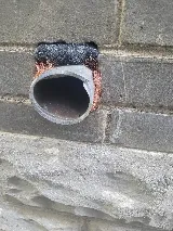 Pestend Pest Control Toronto photo 5