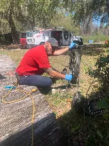 Rooter Man Plumbing photo 4