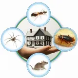 Problem Solved Pest Control photo 5