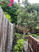Gmg Landscaping & Gardening services photo 7